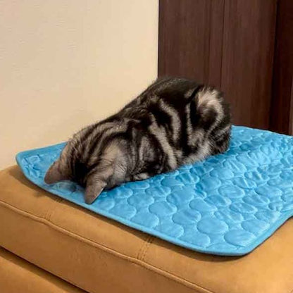 tapis rafraîchissant chat Dormir au Frais
