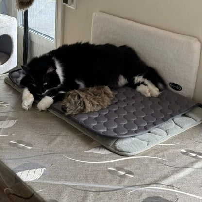 tapis rafraîchissant chat Idéal en Été
