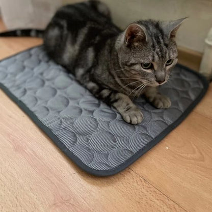 tapis rafraîchissant chat Idéal en Temps de Canicule