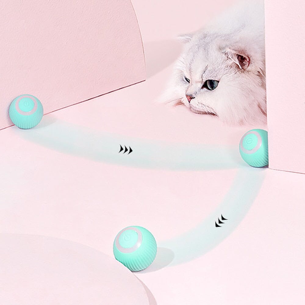 AutoBall™ - Jouet électrique interactifs pour chats - Passion Félins